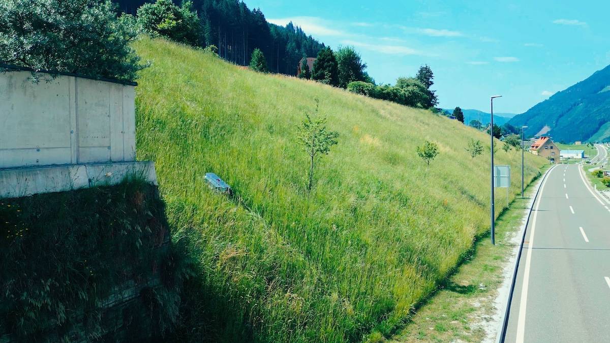 Virtus in einem steilen Feld